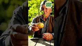 &Uuml;RETİCİLERİN SIR GİBİ SAKLADIĞI Y&Ouml;NTEM! TEK DAL İLE Y&Uuml;ZLERCE FİDE &Uuml;RETİMİ #tarım #&ccedil;ift&ccedil;i #trakt&ouml;r