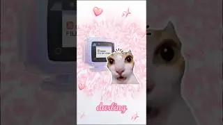 😳 3 ошибки новичков в if / elif / else