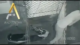 Failed Electric Bike Theft Caught on Camera