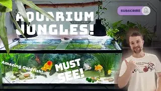 Rate my tank | AMAZING Planted Fancy Goldfish aquariums! | CHECK OUT THESE AQUATIC JUNGLES!