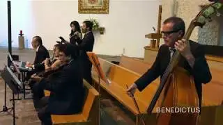 misa stella matutina (gloria) (carnevali) - benedictus CLÁSICO 6 artistas cover