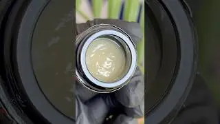 Kaya Farms Extracts - Life Alert (Grandpas Gunchest x Animal Rescue)