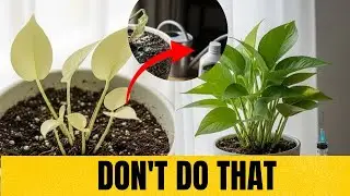 Don't Fertilize Before Watching This Video: The Fatal Mistake Nobody Tells You About