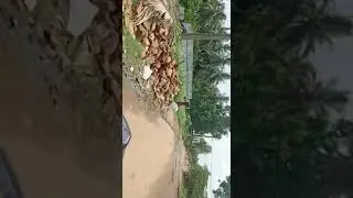 Adhra Pradesh  Roads in Every Village