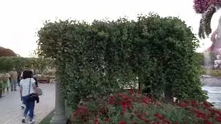 Dubai park Pat 2