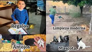 Limpieza de patio con esto&hellip;🤭Esto tenemos por el rancho 🙌🏼 Lo que trajeron los..🤴🏻#rancho #limpieza