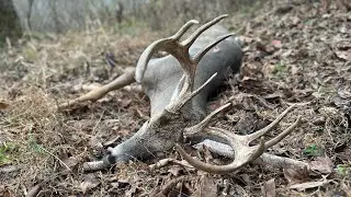 Deer Hunting in Middle Tennessee