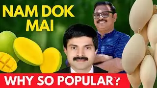 NAM DOCK MAI Mango Craze Explained!RAZZ GARDEN & MANGO MAN MS Special