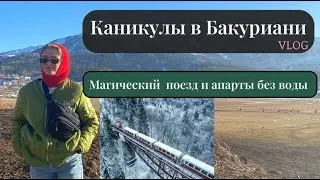 Каникулы в Бакуриани, что посмотреть в Боржоми, сказочный поезд из Hogwarts.