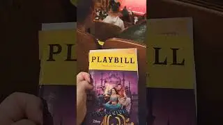 Aladdin on Broadway #travel #NYC #lifeisbutadream #mukbang #musical
