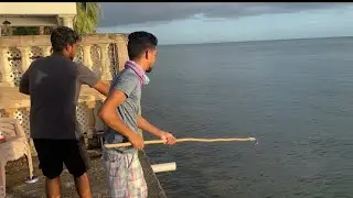 Two days Fishing off a Concrete Jetty.. Compilation of Inshore Fishing ! Trinidad, Caribbean.