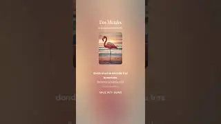 Edici&oacute;n 2025 - Posici&oacute;n 9 - Dos Mundos - Rub&eacute;n Soler