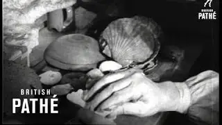 Shells - And Shells - And Shells.  Seaside Variety (1933)
