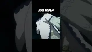 Never Giving Up