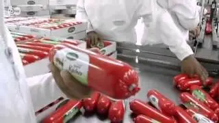 مركز مغربي للتدريب على إنتاج اللحوم | نافذة على الاقتصاد العربي