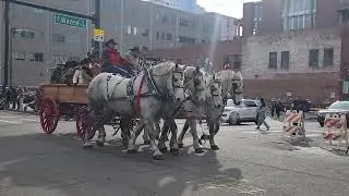 National Western Stock Show Parade In Denver Should Watch || Shorts