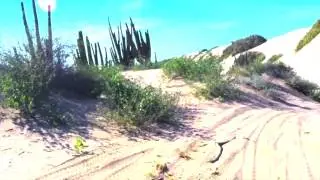 Agosto 2015: Las Dunas