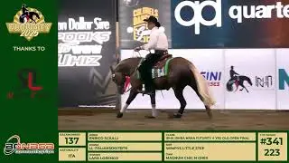 2025 IRHA NRHA FUTURITY 4yo Open lev 2/3/4 CHAMPION- LL ITALIANSDOITBTR & ERICO SCIULLI 
