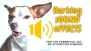 Dog Barking free Filmora  sound effect  #soundeffectnocopyright #barkingsounds #dogsounds