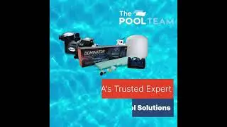 The Pool Team Aug 2025 Promo