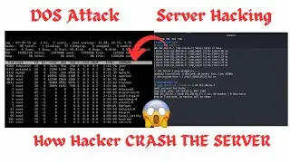 How Hackers Crash Servers | DOS Attack Explained with Live Demo