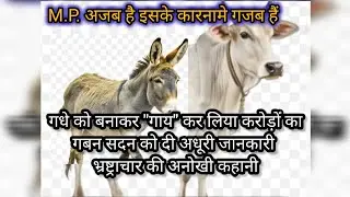 In the new district of Madhya Pradesh, a donkey was transformed into a cow and a game worth crores was played. Why did all the responsible people remain silent?
