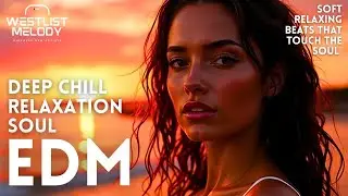 EDM Relax: Ambient Chill 🎧 Soft EDM for Relaxation & Mindful Moments, Relax, Focus & Reset Your Mind