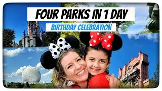 4 DISNEY PARKS IN 1 DAY Birthday Celebration with Lightning Lane Multipass & Standby Skipper