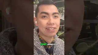 Экономичная покупка хой для вашей коллекции.