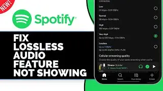 How to Fix Lossless Audio Feature Not Showing On Spotify (Solved)