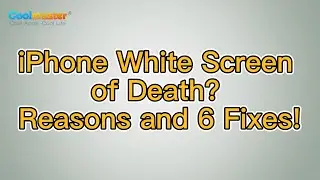 How to Fix iPhone White Screen of Death? [6 Solutions]