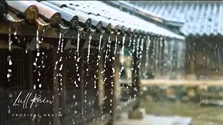 The Power of Rain: Healing Water Falling from the Sky.