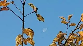 Ритуал - онлайн На чудо в жизни на белую луну и солнце зимой. К Гелиосу и Чандре.