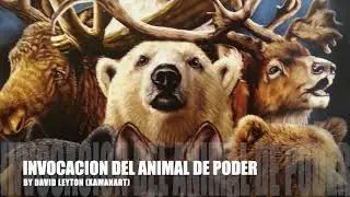 Invocaci&oacute;n del animal de poder con David Leyton (Formaci&oacute;n Nivel 33 de Brossah Leyton)