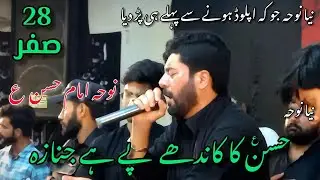 Hassan Ka Kandhe Pe Hai Janaza | Mir Hasan Mir | Noha Imam Hassan | New Noha 2022 | 28 Safar Noha