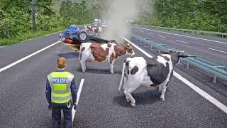 Autobahn Police Simulator 3 Cows Block Road and Car Accident