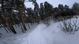 Leninsky Park is the legacy of Ilyich. MTB trail.