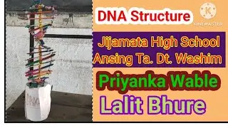 DNA Structure Model by Priyanka Wable guide teacher Lalit Bhure @LalitBhuresir