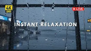 LIVE 🌧️ Gentle Night Rain on Window | Deep Sleep & Calm Mind