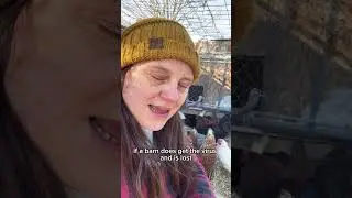 Why There Are Egg Shortages, But Not Chicken Meat Shortages