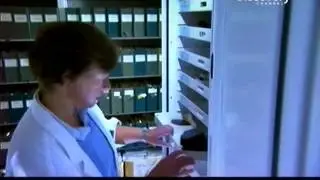 Мерчисонский (Мурчисонский) метеорит