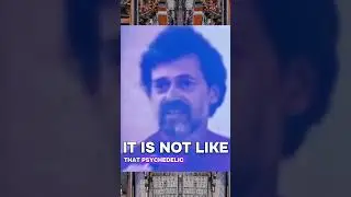 Terrence McKenna about Psychedelics