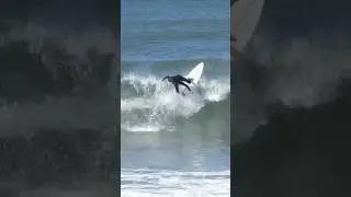 Fun size waves 🇵🇹 #europe #surf #portugal #travel #ocean #thesurfersplaza #surfing