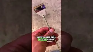 This Tool Made My Aquarium SPOTLESS!