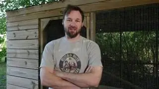 Backyard Birds: Protect Your Chicken Flock