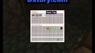 SnapShot 13W18B