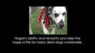 Hogan's Hope OFFICIAL