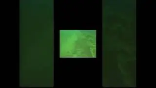 Ghost Net Sekiu removed 1985 #pugetsoundestuarium #happy #trending #viralvideo #tribalgillnet #nets