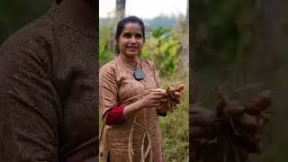 Geethas Turmeric Farming