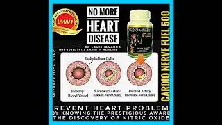 PHB Worx Cardio Nerve Fuel